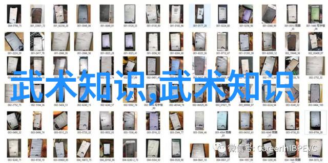 掌控战斗深入分析各种极端高效的防御技术