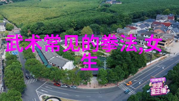 人物浅谈太极拳24式自学图解的意境与发展