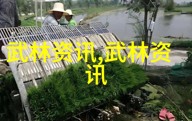 武功门派都有哪些探秘八法拳的秘密