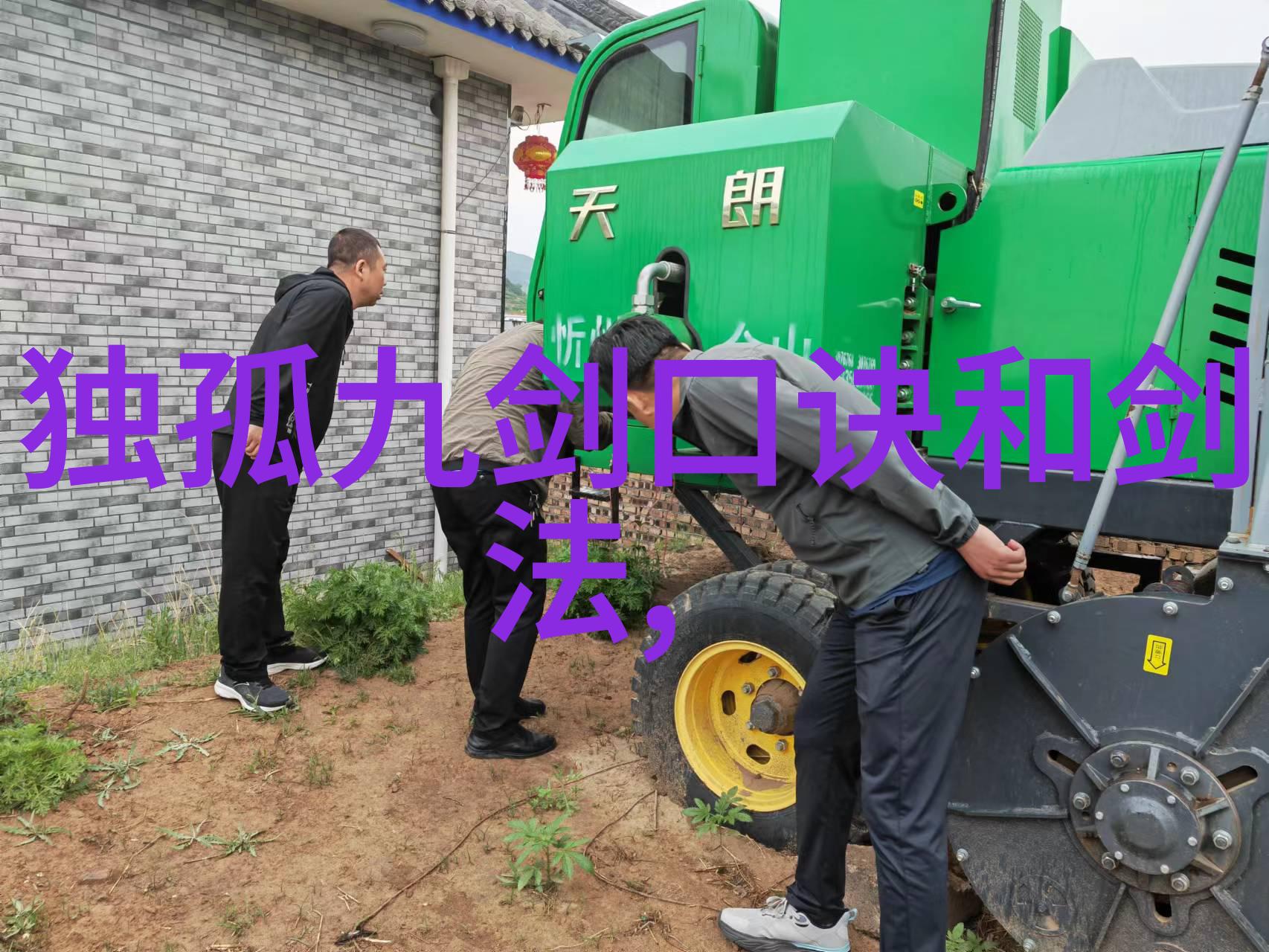 女儿的帮派守护花园