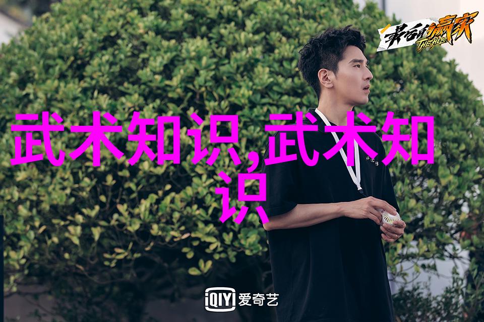 家中武学秘籍从零到英雄的修炼之路
