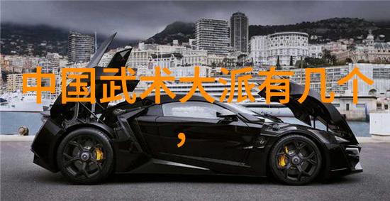 中国武术宝库揭秘古老流派与现代风貌
