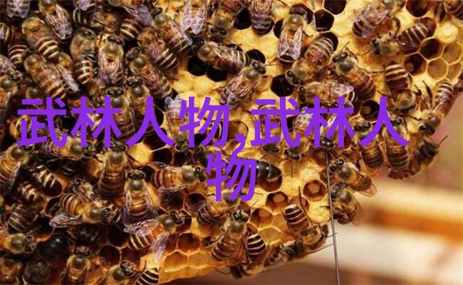 幽兰帮派清风流水拳