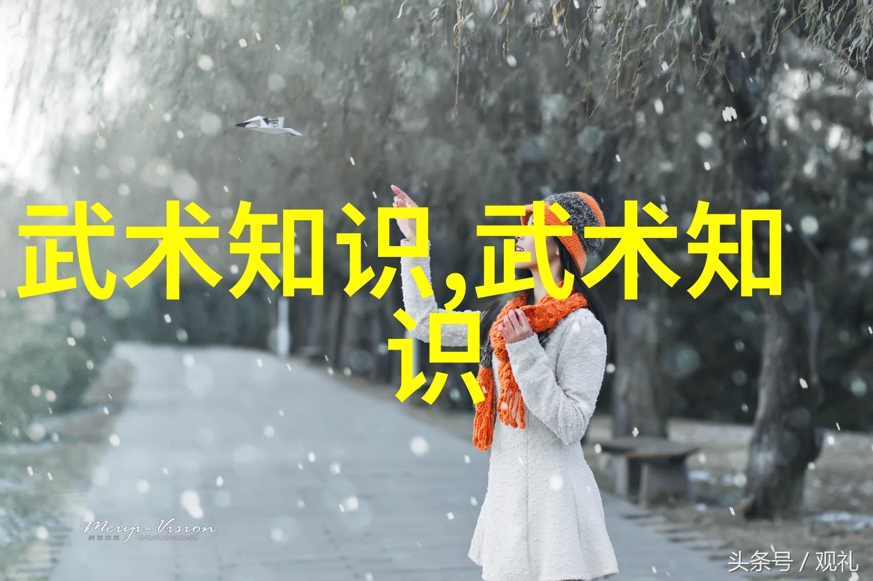 中国武术十大门派古韵沉淀中的精华探究