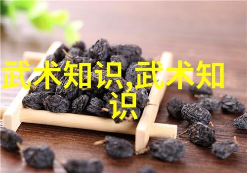 古韵流转太极拳之二十四式简化图解