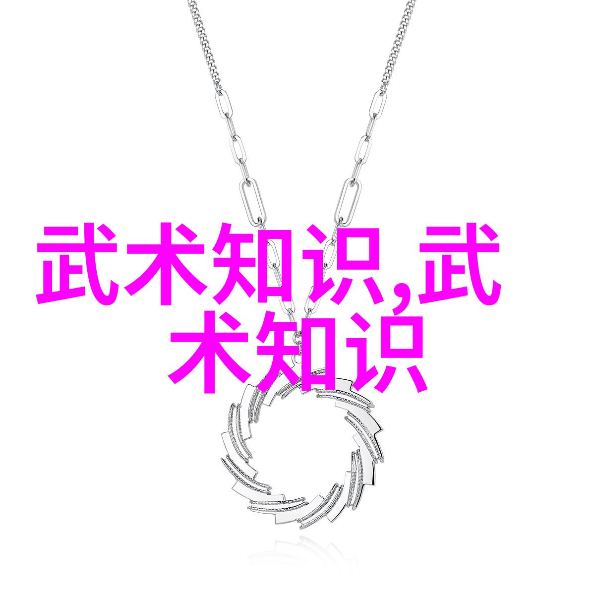 武林秘籍诸门派之谜