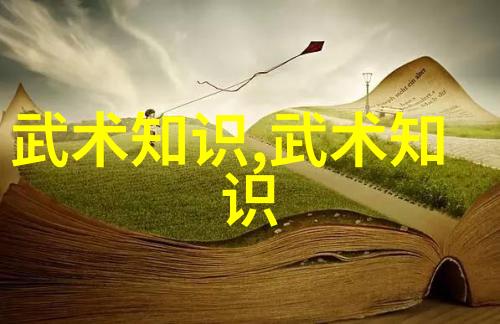 太极拳24式慢动作解析揭秘内在奥义与修身养性之道
