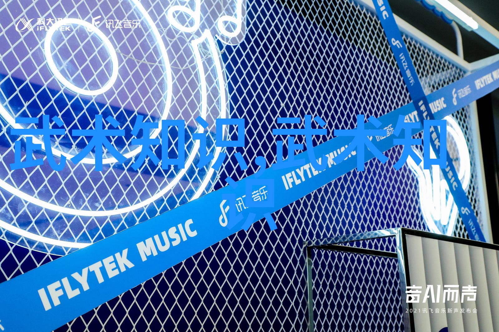 揭秘十三式太极拳一路领悟气功的艺术之旅
