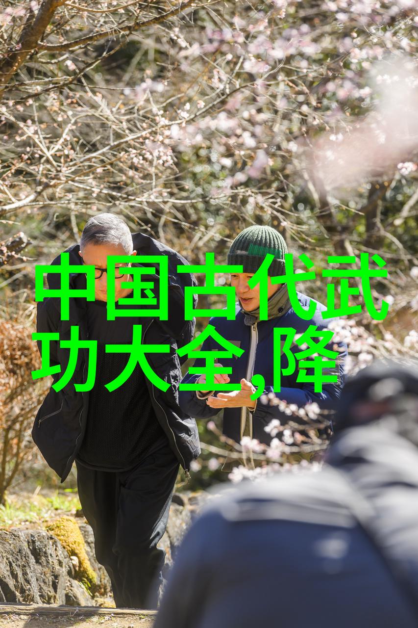 武林八大派江湖之巅与隐世传奇