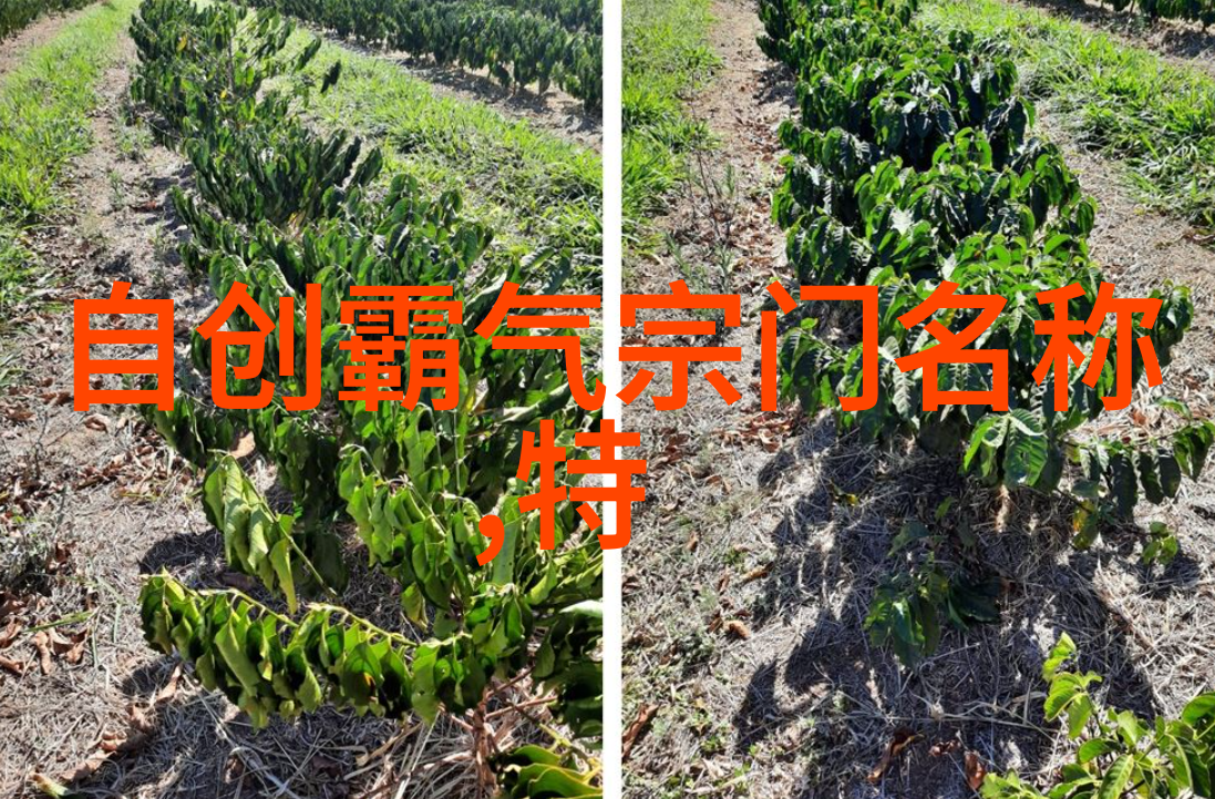 中国十大武术排行榜古韵不朽的武林高手