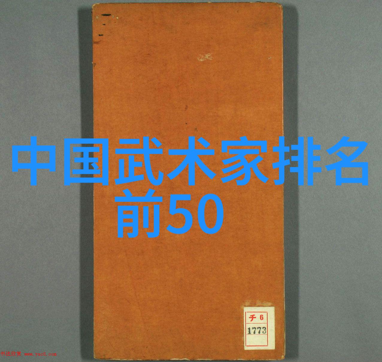初学武术套路拳法 - 掌握基本步伐从入门到精通的武术之旅