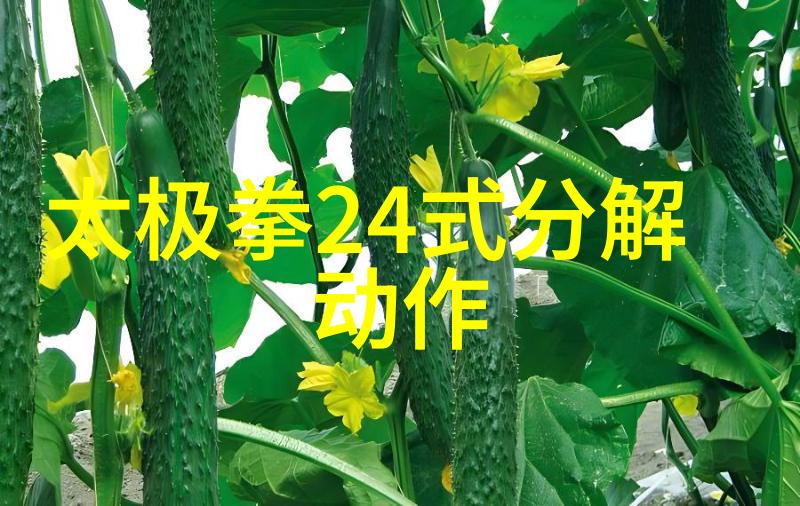 云翎家族仙气飘飘的传奇
