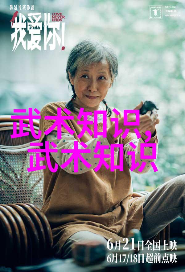 我来告诉你中国武术流派大集合从太极到詹乌斯让我们一起探秘这些古老技艺