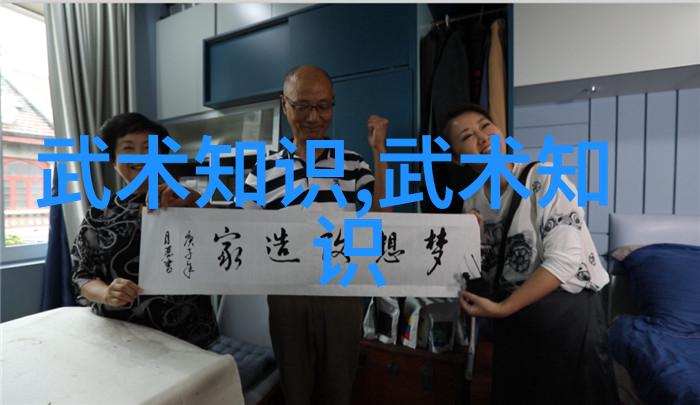 数据驱动解读杨志英拳法十六招式图解中的偏沉则随双重则滞原理