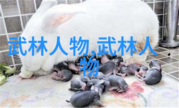 记忆中的挑战回顾那场著名的八三年决斗