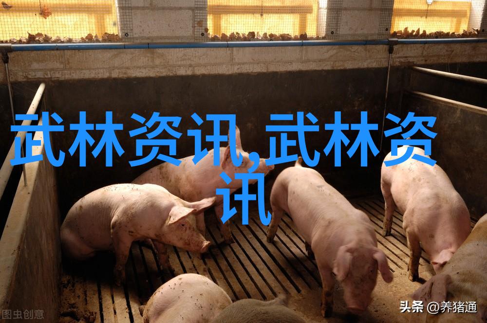武林资讯榆林市中小学生武术大赛让无数学子因练就一身武艺受益匪浅终生