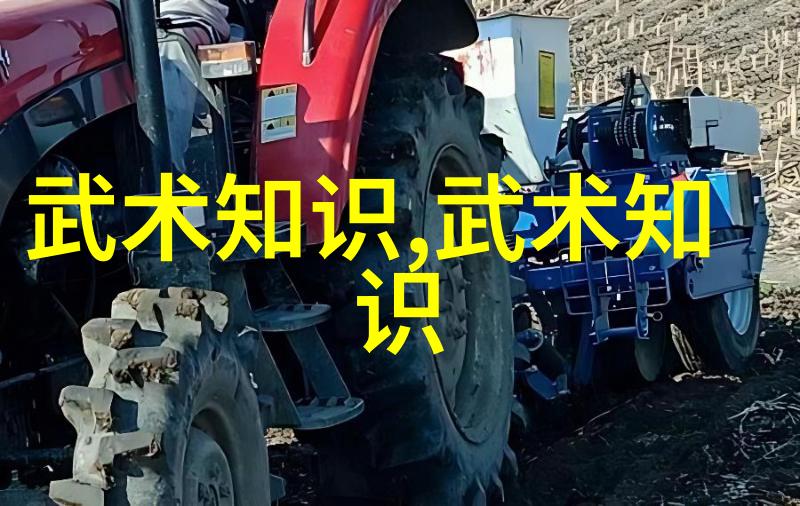 武学百宝袋深入剖析中国武术十大拳法排名标准