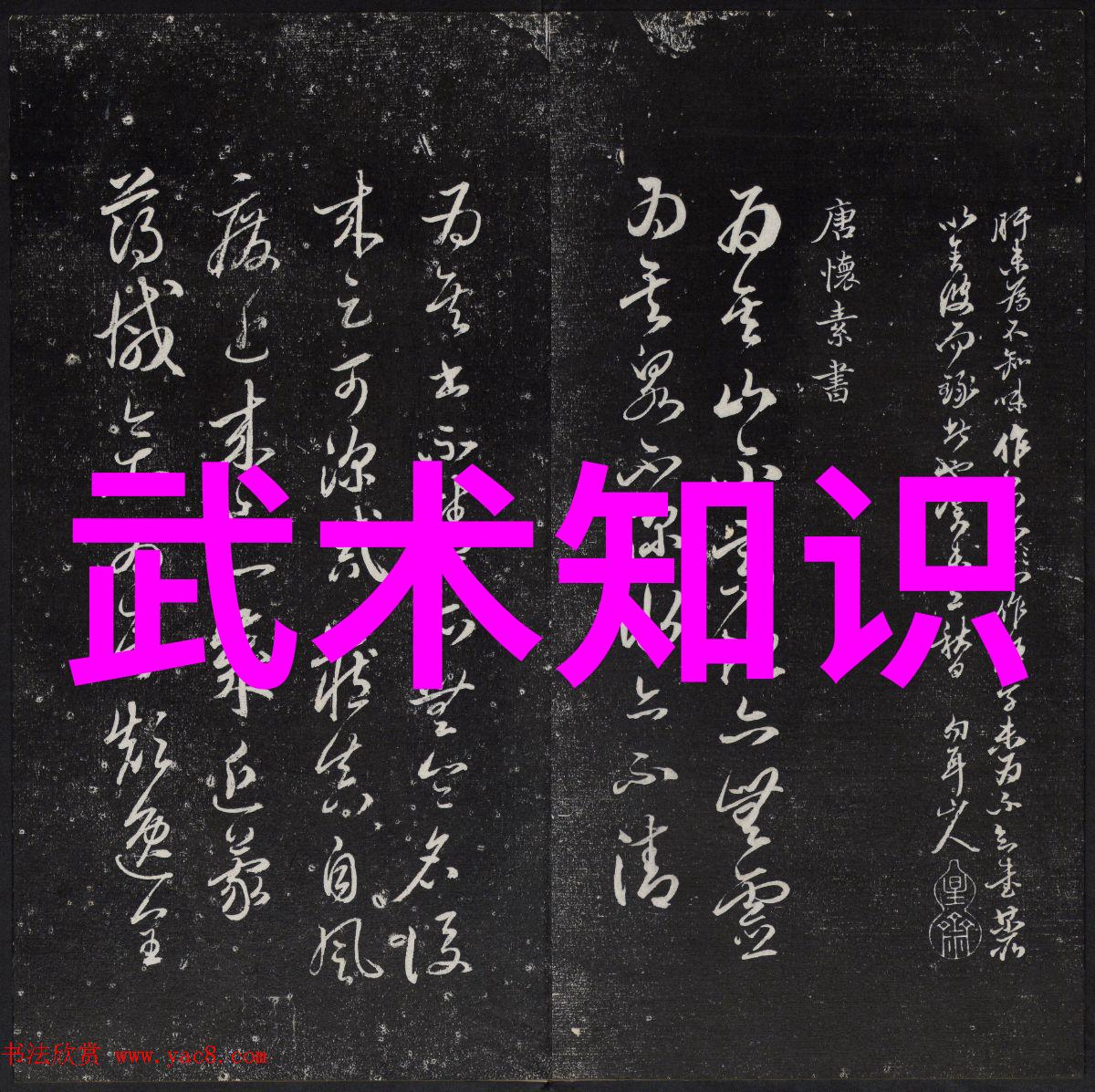 上海精武体育总会一级辅导员第三期培训班即将