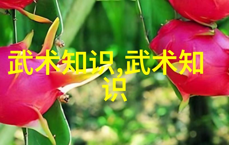 中国武术门派大汇总探索129个流派的独特魅力