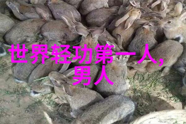 哪一座古老的宗门能揭开星辰之谜统治这片广袤的幻境
