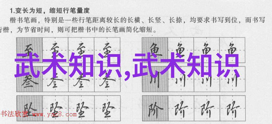 揭秘世界上最狠的拳法穿透力与破坏力的极致融合