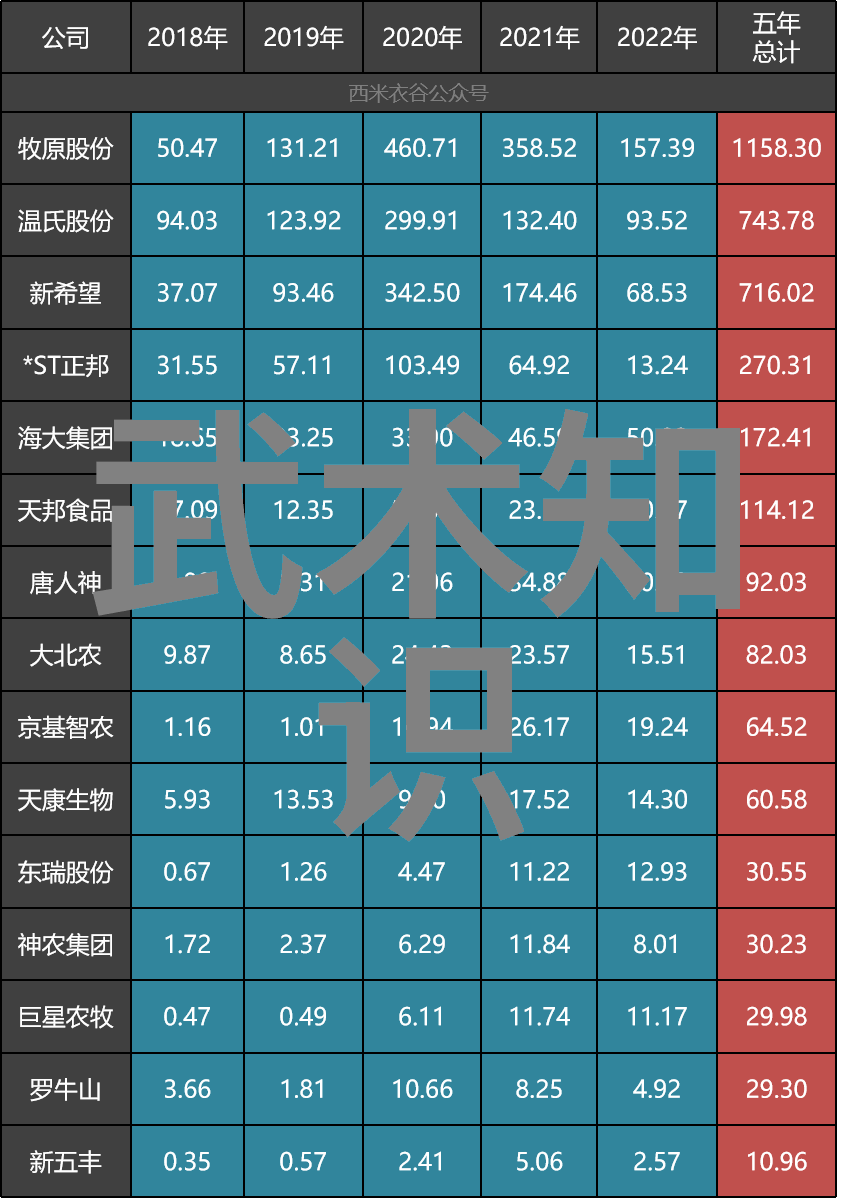 助人为乐名之以美最有诗意的帮派名字揭秘