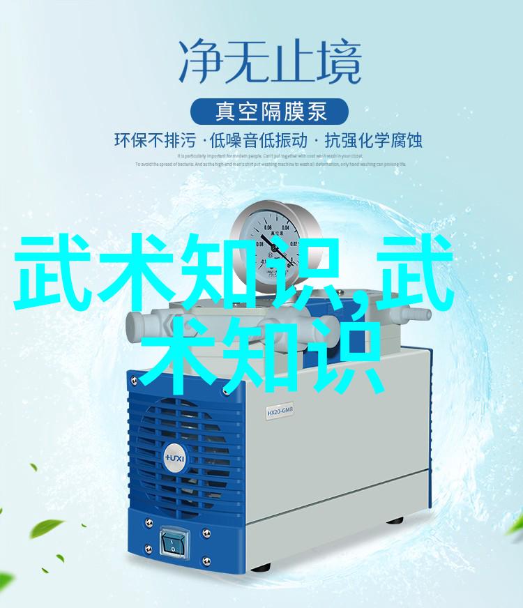 霸道风范探秘那些让人敬畏的帮派名字