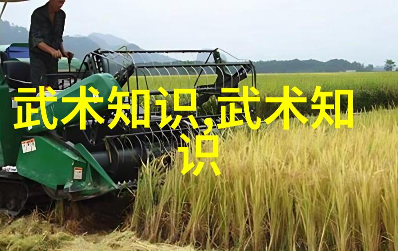 数据驱动太极拳肘秘籍张宝银解密玄机