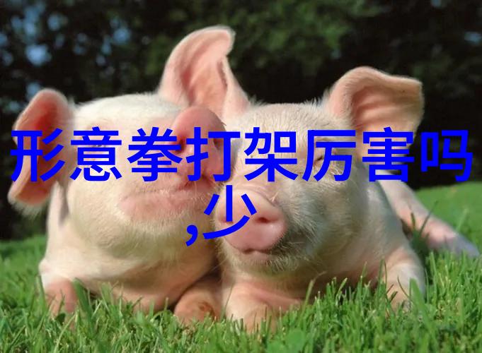 大森林里的小木屋我在森林深处的秘密避风港