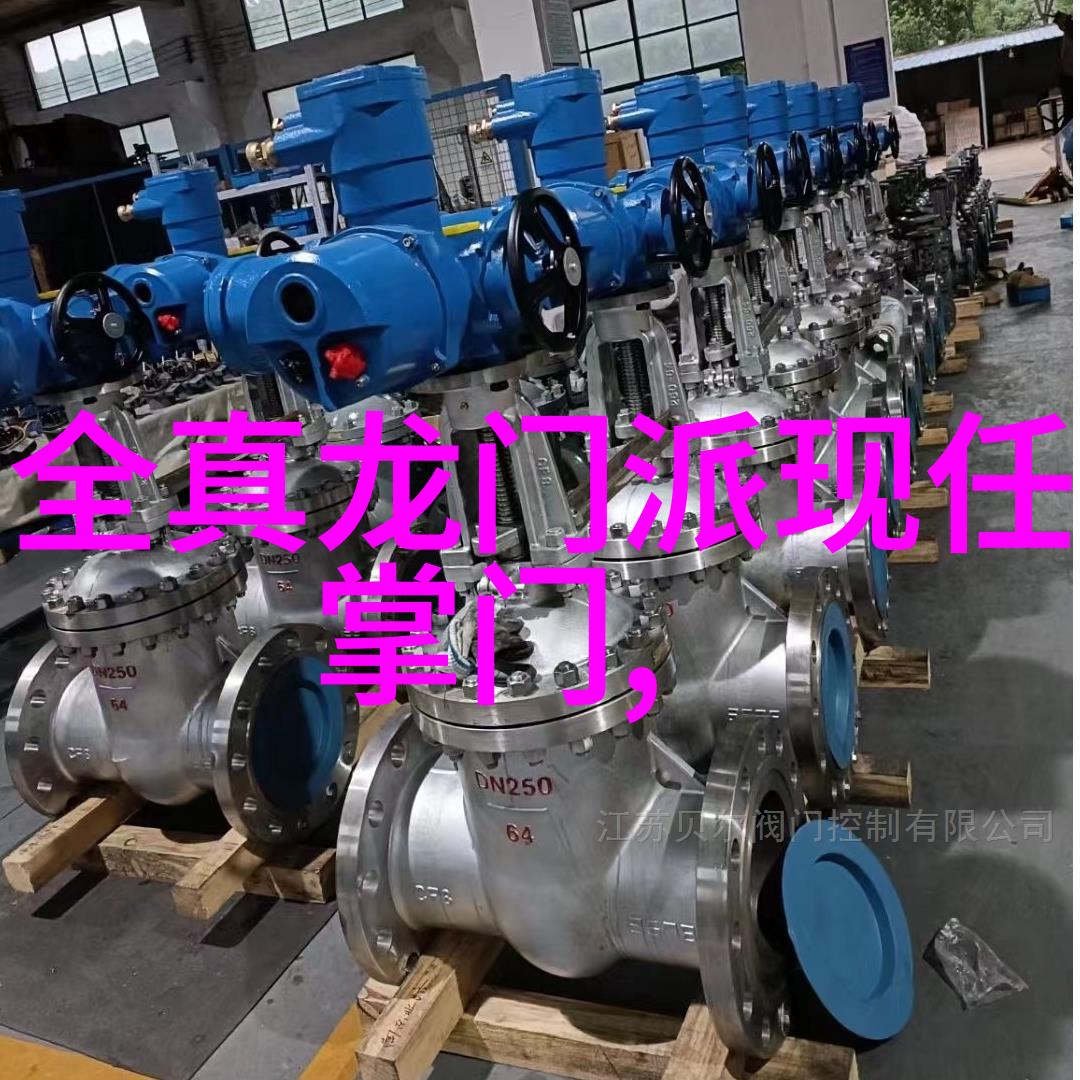拳法十六招式图解探索武术技巧与体能训练的艺术