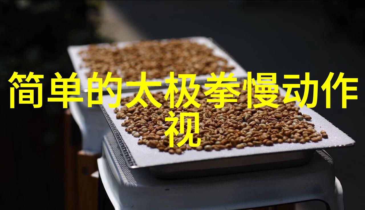 星辰剑法全集云端飞翔月牙流光剑影穿梭风暴斩波