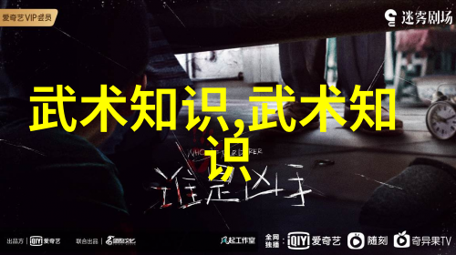 如何通过视频学习初学武术套路拳法