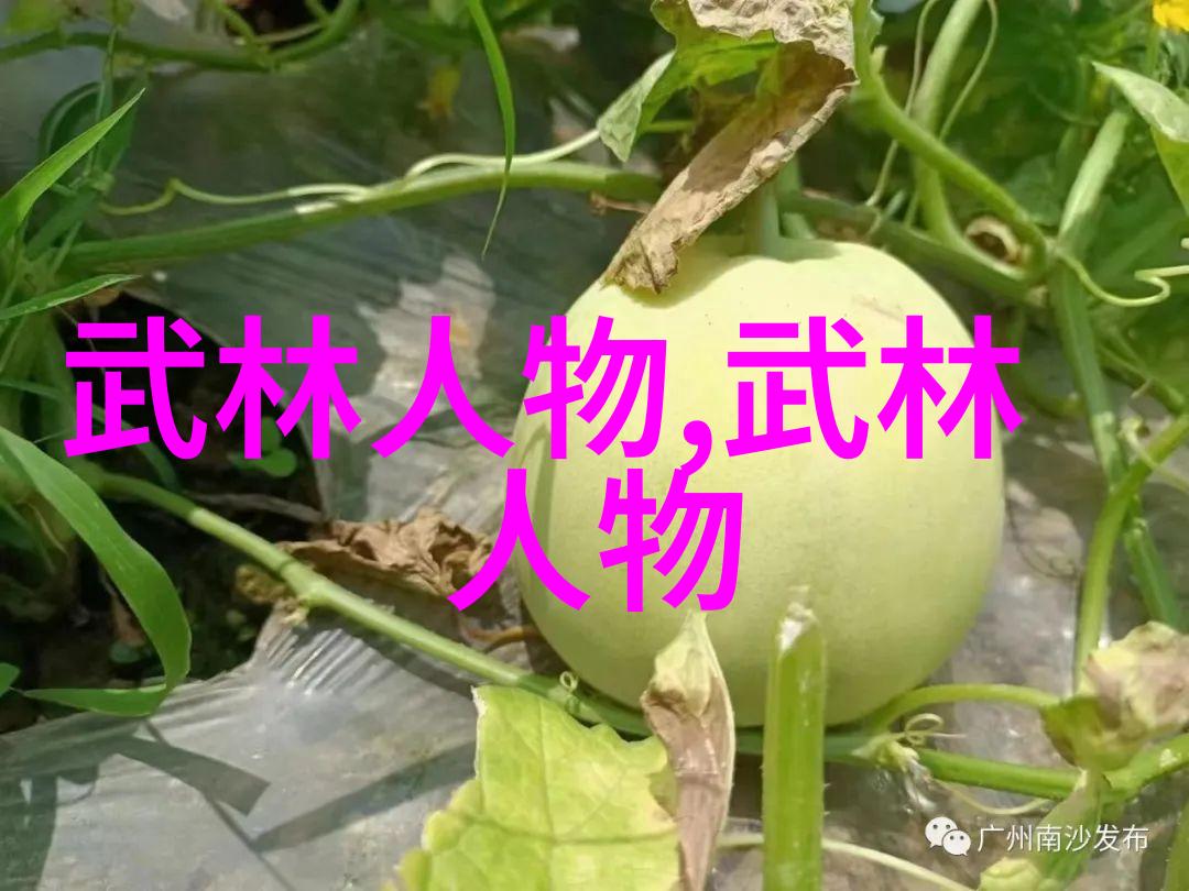 自在家练武术的教程武术训练方法