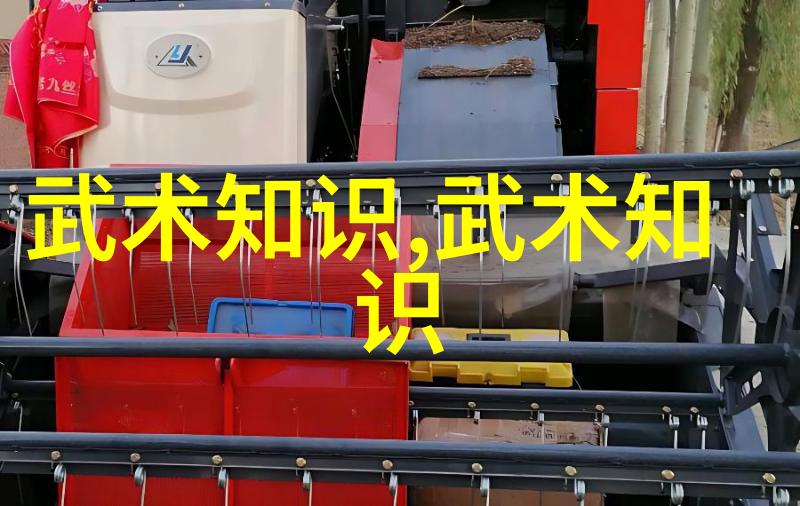 与其他武术对比独特之处是什么让我们称呼它为武当派