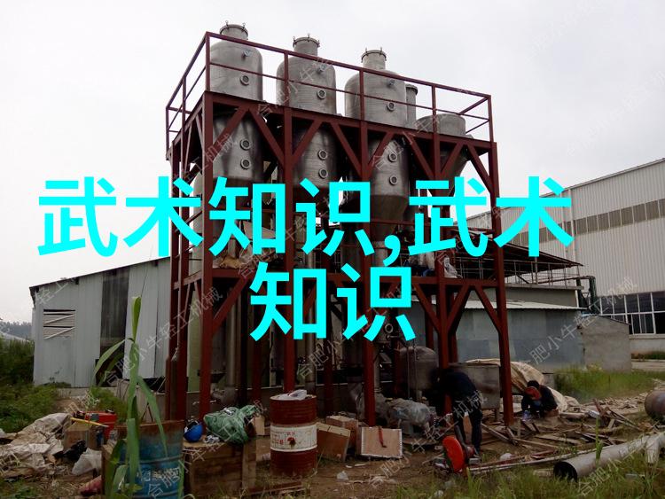 古代武术训练方法咱们来探秘那些江湖中人怎么把身手磨到如此之高