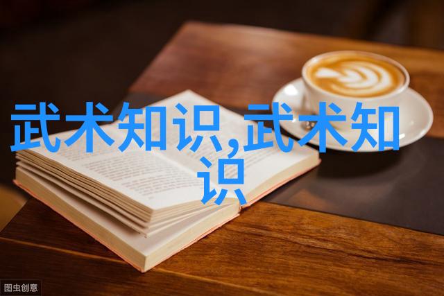中国功夫拳法精髓武术中的各种技巧和招式