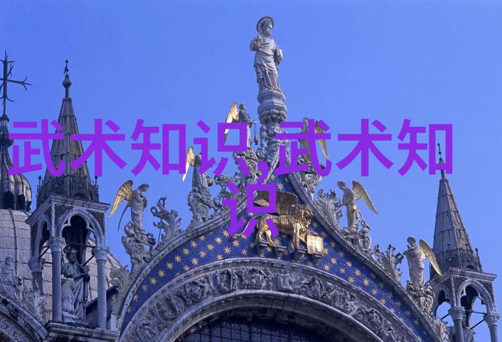 宗门巅峰字门太极拳