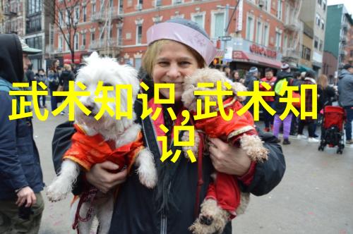 少儿散打武术活力之花在动拳舞中盛开