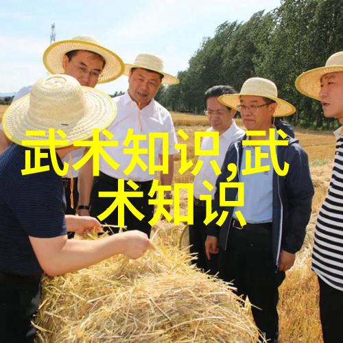 武林门派之巅天龙教与碧血镖局的较量