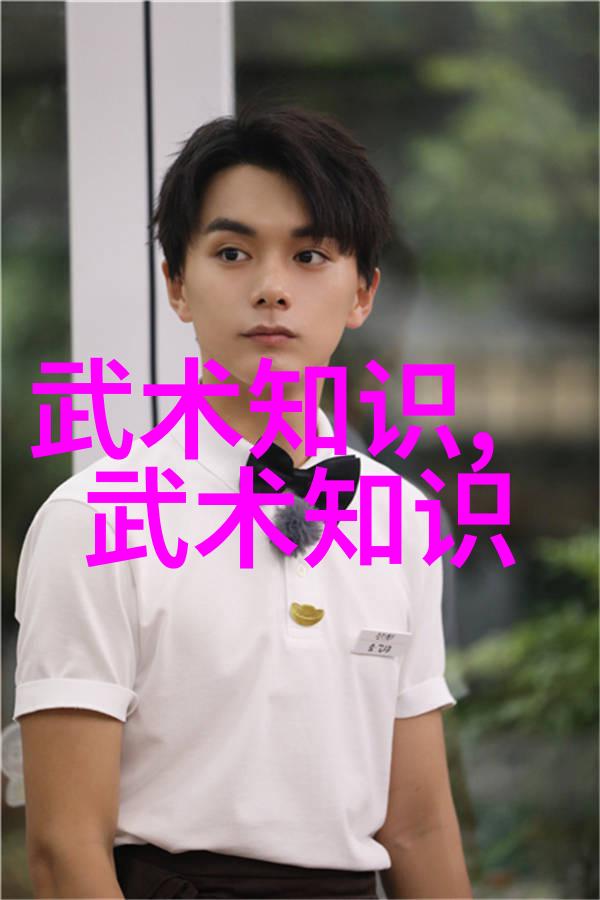 青奥会与武术文化的融合于对青奥会理念及中华武术理念的分析-李丹 张小峰 崔明艳