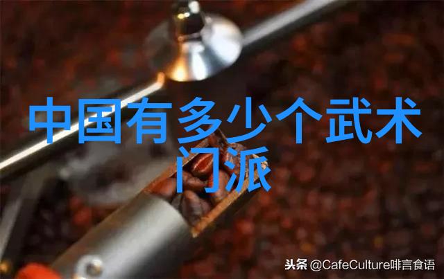 武学秘籍揭秘拳法之源流与实战技巧