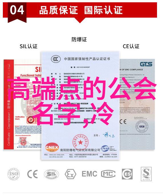 武术之网杨式太极一家