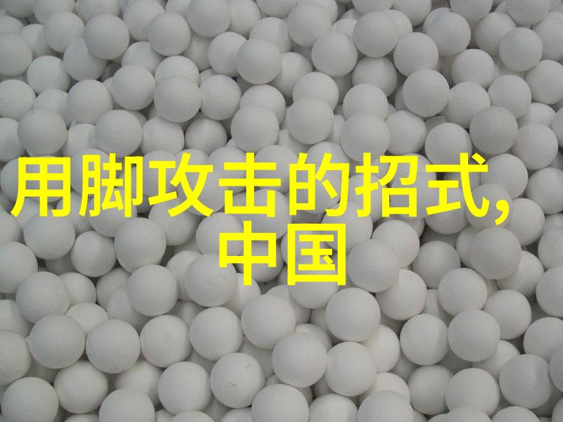 武林秘籍大全通晓乾坤之奥秘的宝典