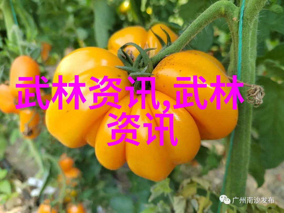 古风剑法秘籍探寻碧波倚风月牙霜刃的传说