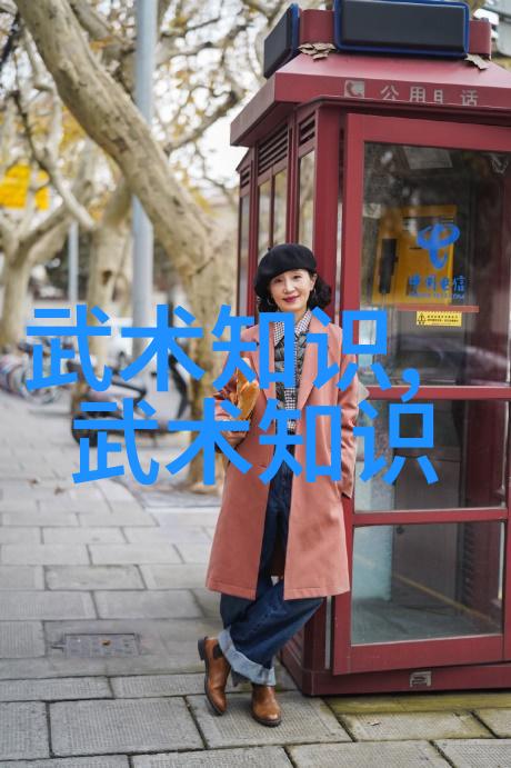 家庭武术训练课程家中健身的武术学习