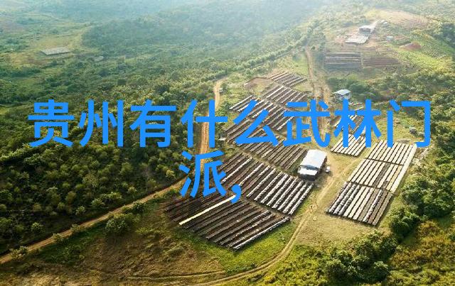 逗比五人团队名字-笑声中飞翔的傻瓜联盟