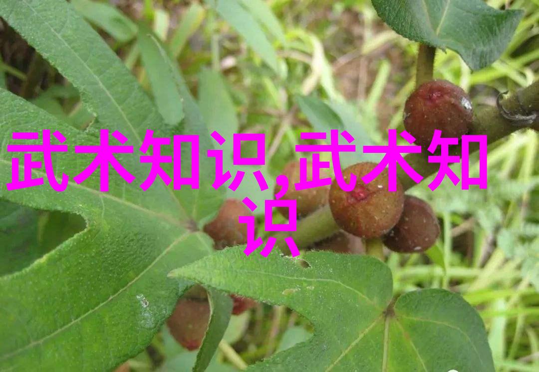 跨越时空的运动艺术探究中国古代武术中的现代应用