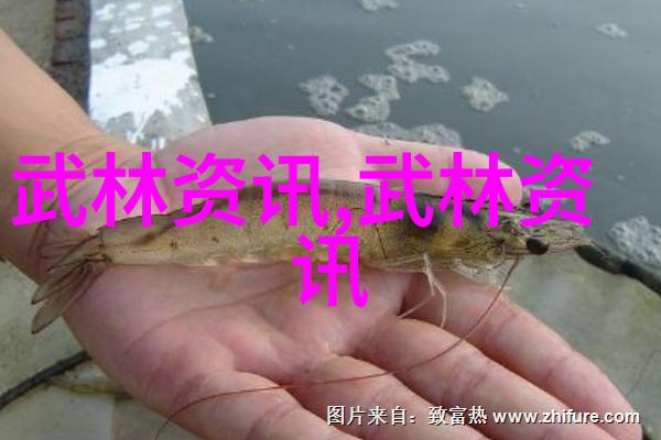 世界上最强武功是什么我听说过的那些秘籍和传说中究竟哪一种更厉害