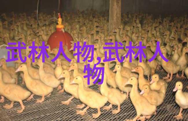 中国功夫拳法精髓揭秘中华武术的内在力量