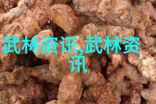 中国功夫怎么练的方法-内外兼修揭秘中国功夫实战训练
